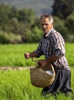 افزایش ۲۵ درصدی مستمری‌ها در صندوق بیمه اجتماعی کشاورزان و روستاییان