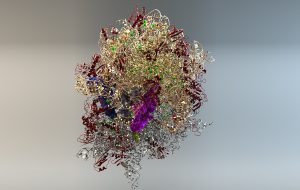 تشخیص پروتئین ها با آشکارساز‌های حاوی نانوسیم گروهی از محققان دانشگاه وین به پیشرفتی دست یافته‌اند که تشخیص یون‌های پروتئینی با آشکارسازهای حاوی نانوسیم امکان پذیر است