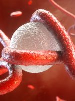 تکثیر ویروس در بین سلول‌ها از راه نانو لوله‌ها دانشمندان در یافته‌های اخیر خود دریافتند که ویروس ابولا تونل‌های بین سلولی را برای حرکت از سلولی به سلول دیگر ایجاد می‌کنند.